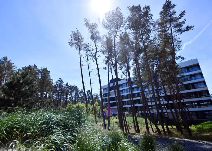 Apartman Apartrogowo